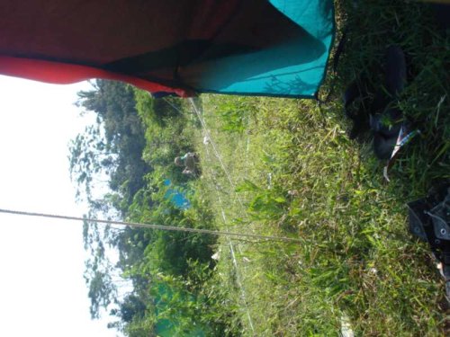 DSC09930_1